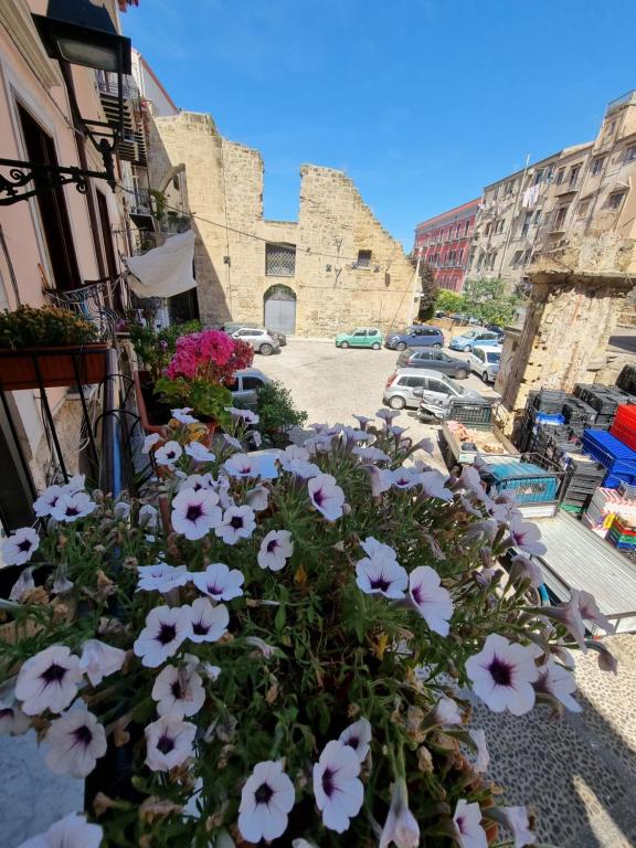 Banda białych kwiatów na ulicy w obiekcie Residenza Tarzanà w mieście Palermo