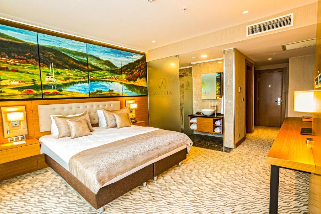 Aselia Hotel Trabzon - Deluxe King Oda - Şehir Manzaralı