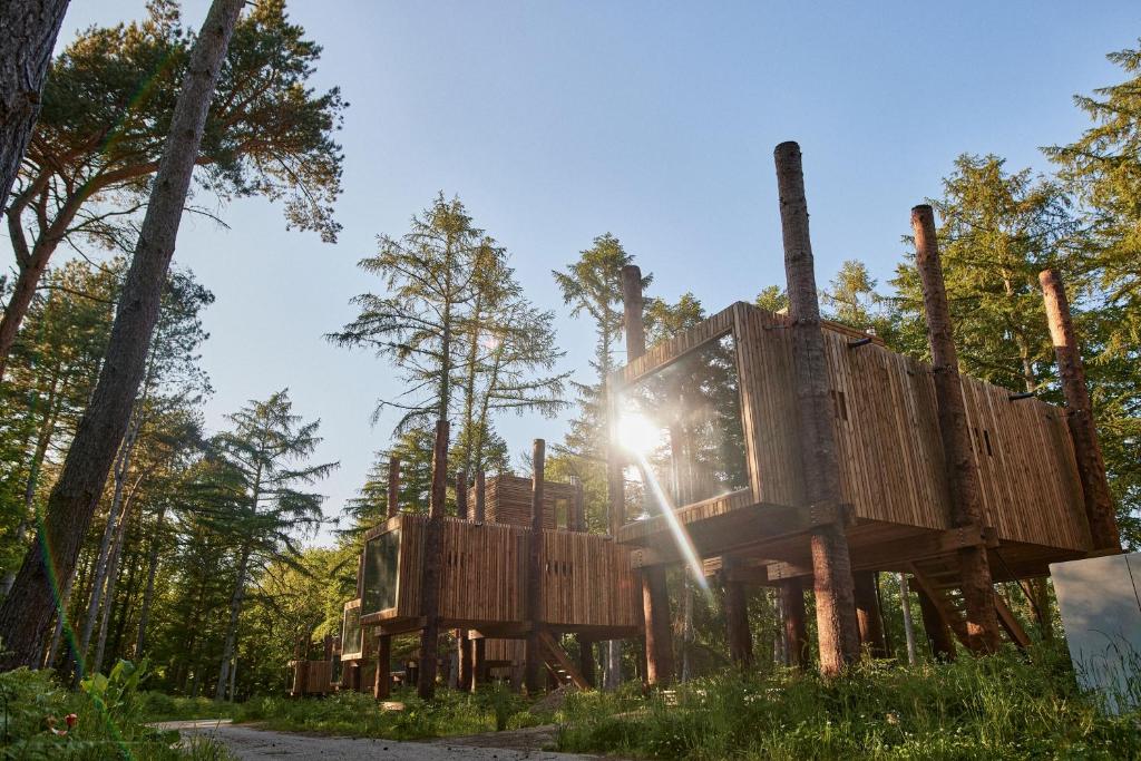 a tree house in a forest with the sun shining at Your Nature Eco Resort 