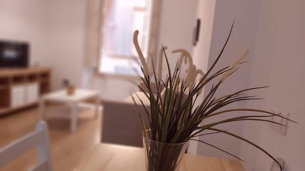 Televízia a/alebo spoločenská miestnosť v ubytovaní Del Parque Flats Mitjana