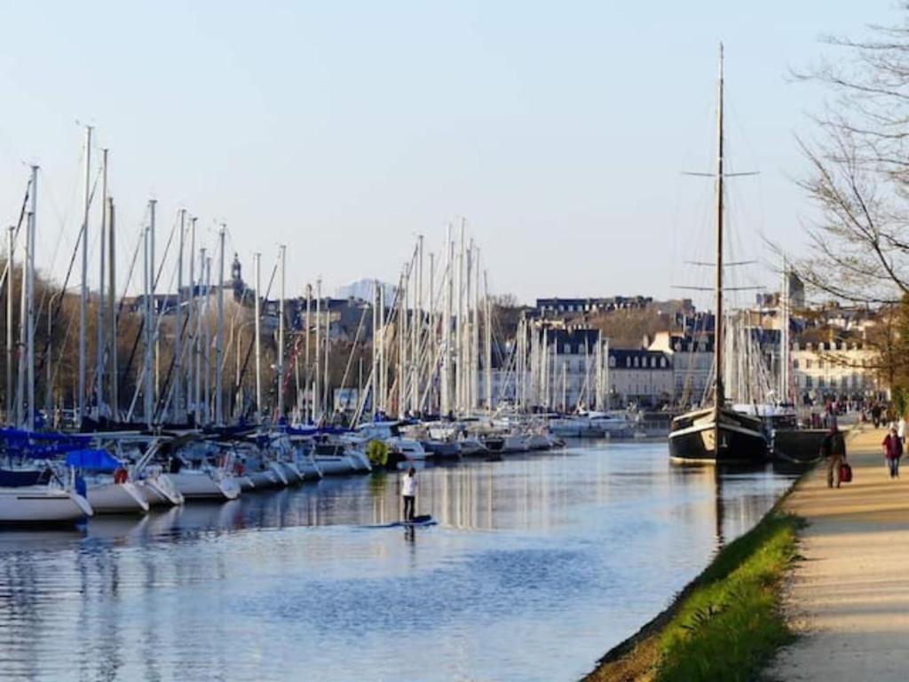 un groupe de bateaux amarrés dans un port de plaisance dans l'établissement La casa de Sophie T3 avec jardinet, Parking privé - Port de Vannes, à Vannes