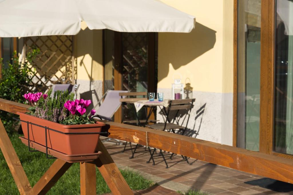 Zahrada ubytování Agriturismo Sensi