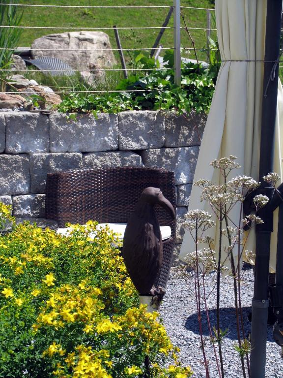 Zahrada ubytování Hotel Cores