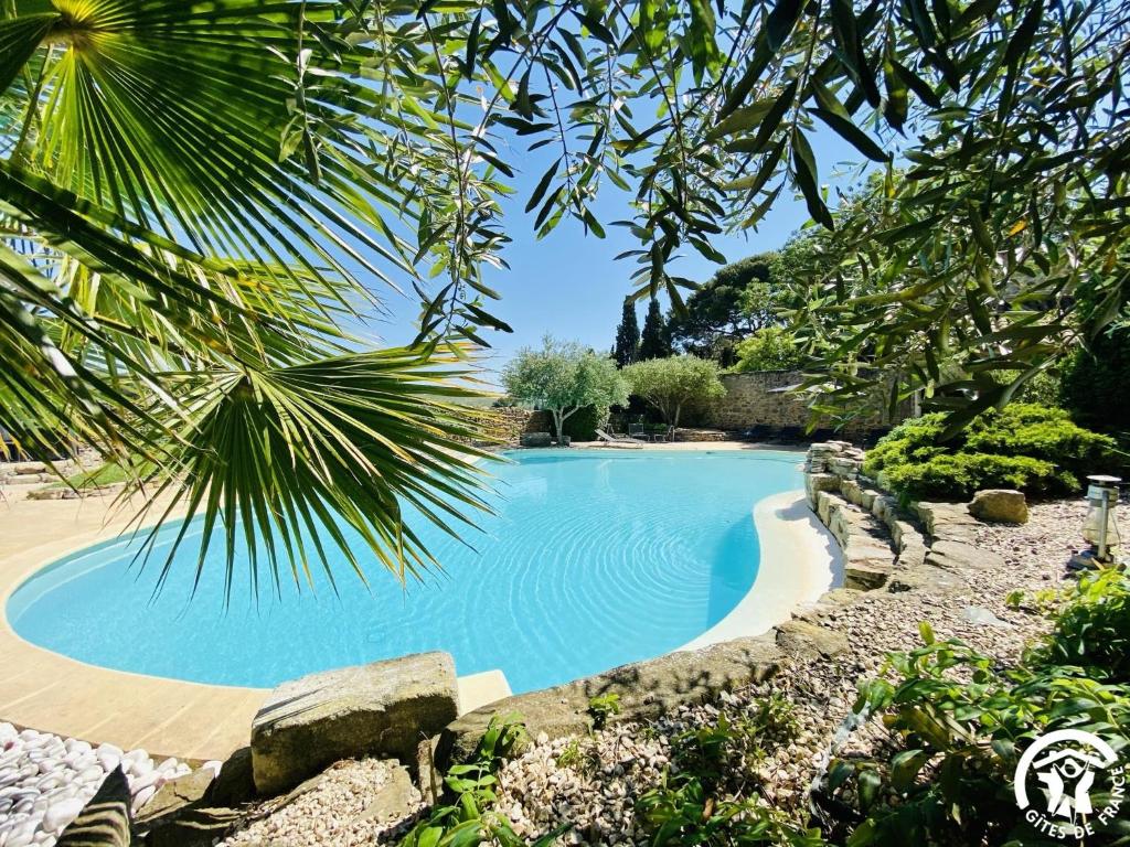 uma piscina ao lado de uma praia com uma palmeira em Le Coq du Nord - Mailhac Gîte et Chambres d'Hôtes em Mailhac