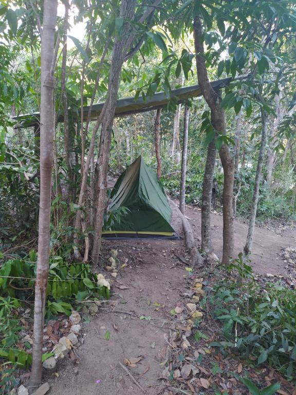 Zahrada ubytování Kombi Hostel Camping