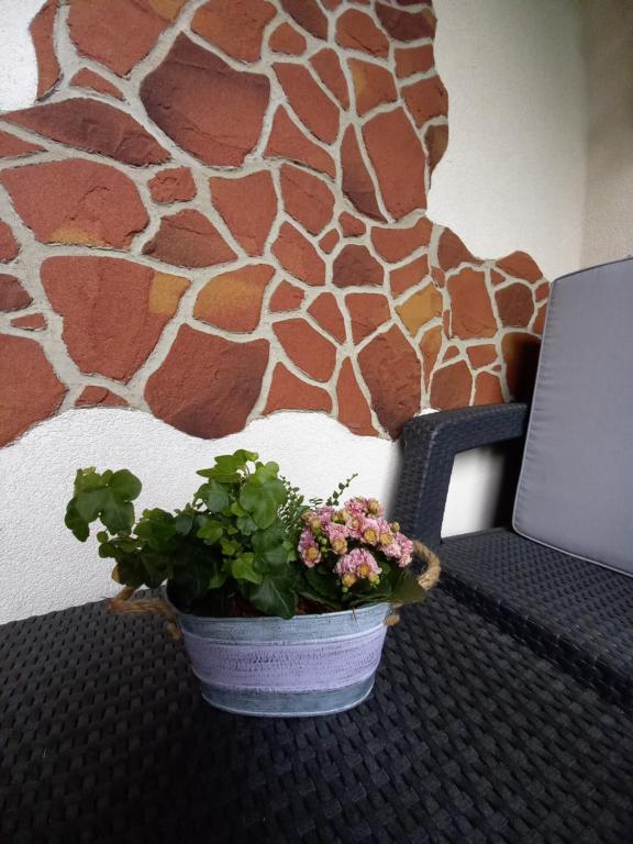 a potted plant sitting on a table next to a wall at Apartmán Erika - Bešeňová in Bešeňová