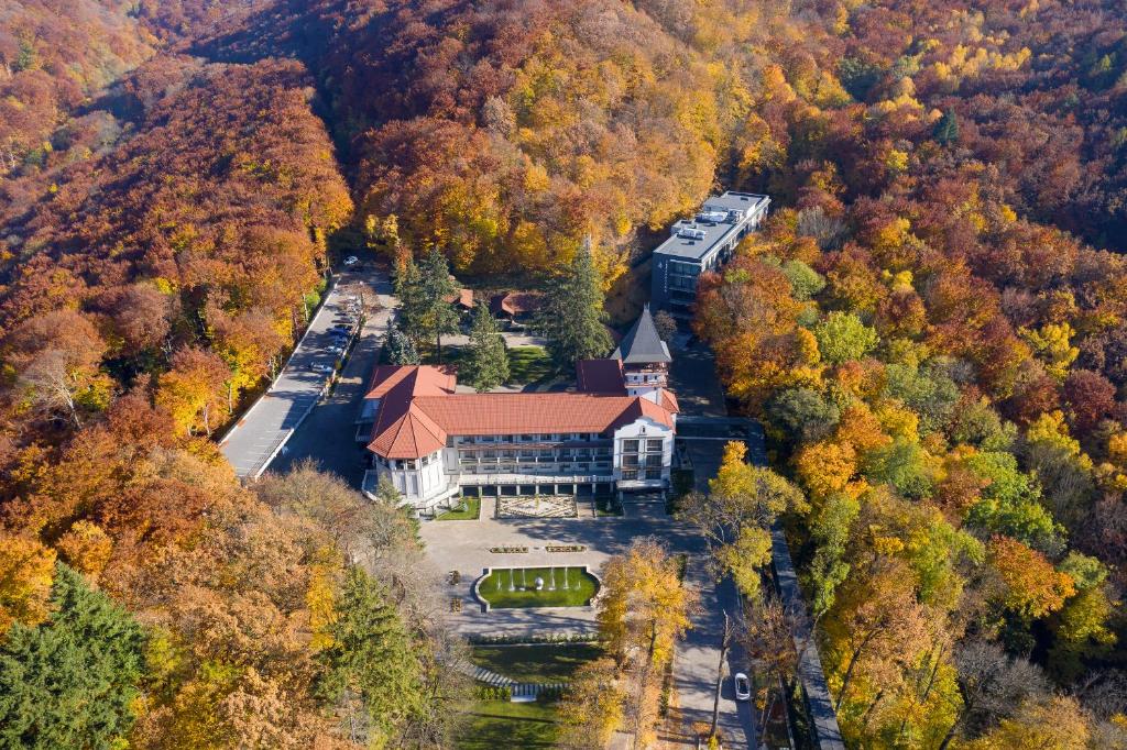 an aerial view of a building in the middle of a forest at Verkhovyna Resort Medical & Wellness in Kamenitsa