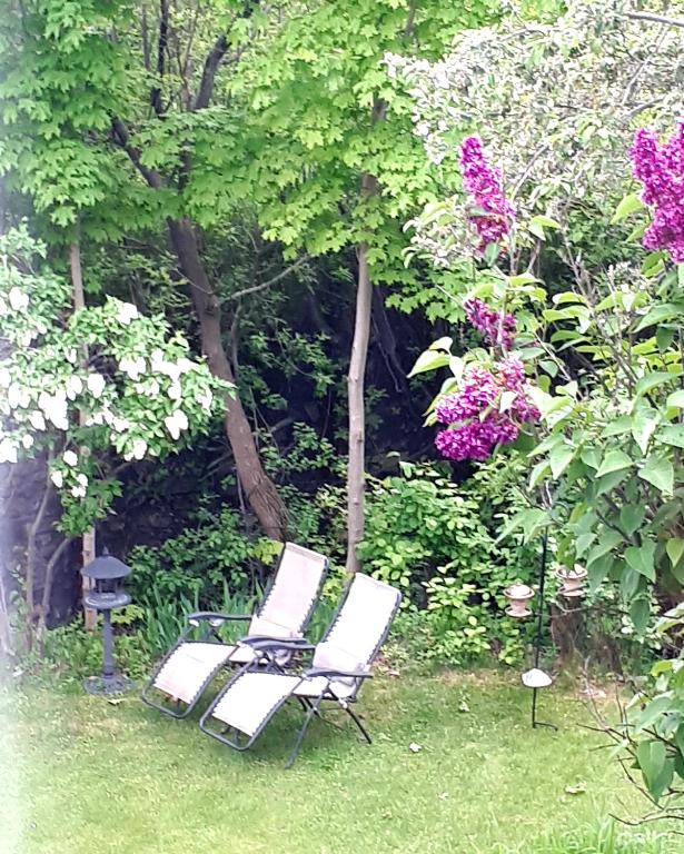Zahrada ubytování Auberge le Petit Séjour