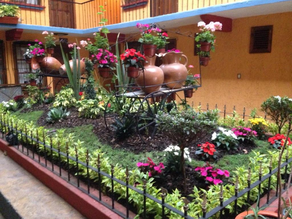 Zahrada ubytování Hotel Tradicional