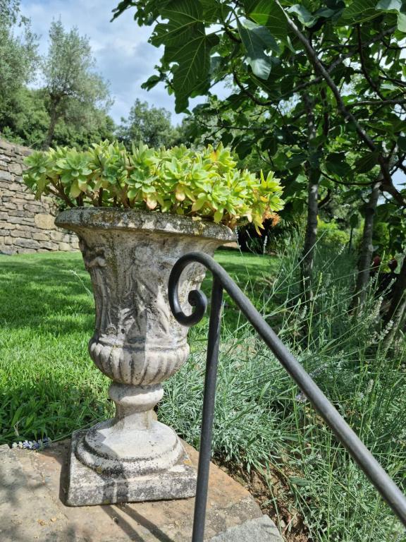 Ogród w obiekcie Villa Le Ginestre