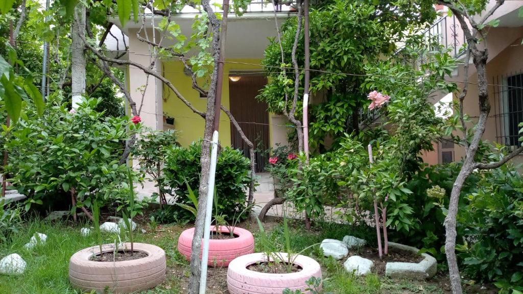 un jardín con árboles y plantas en neumáticos grandes en Sonce - Tirana en Tirana