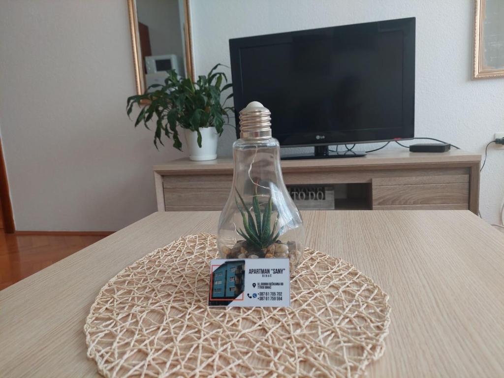 a bottle with a plant in it sitting on a table at Apartman Sany in Bihać