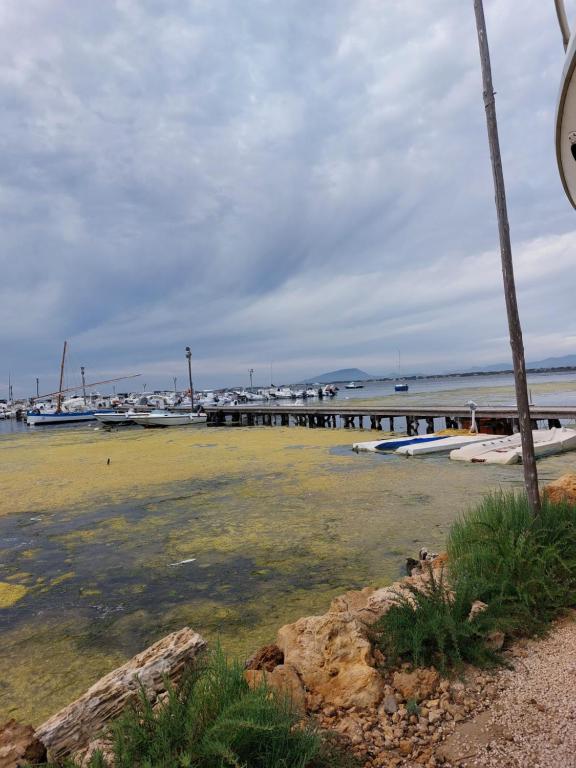 Príroda v okolí apartmánu