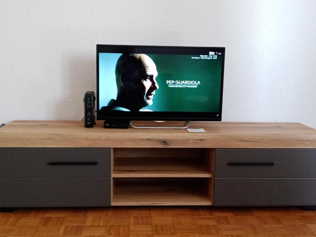 TV a/nebo společenská místnost v ubytování Apartman Kneginja