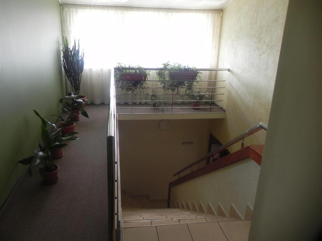 Fotografie z fotogalerie ubytování Hotel Baneasa Parc v Bukurešti