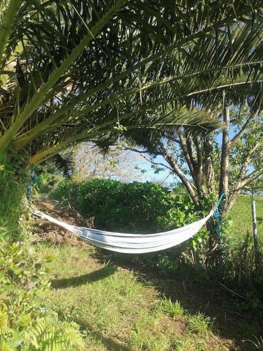 Zahrada ubytování La casa azul de Lua Un lugar mágico
