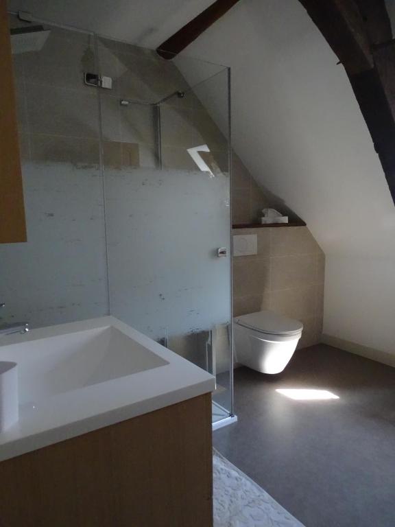 Łazienka z umywalką i toaletą na poddaszu w obiekcie Moulin de la Follaine Gîte Le logis du meunier w mieście Azay-sur-Indre