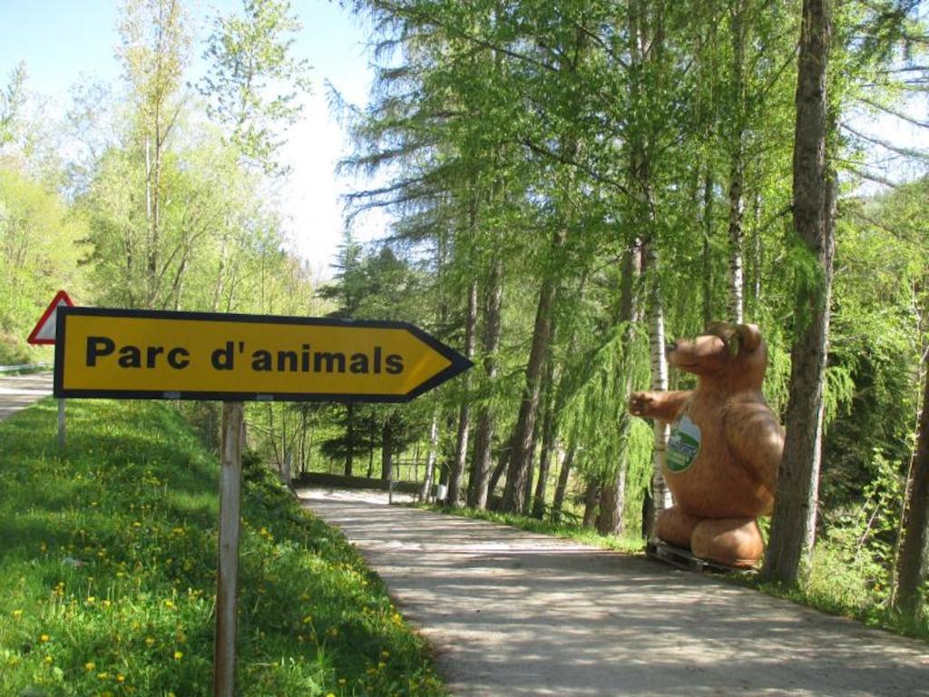 Zvířata v apartmánu nebo okolí