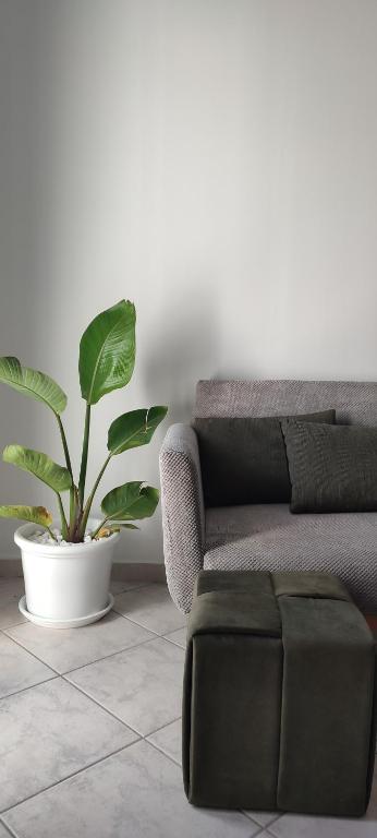 Zdjęcie z galerii obiektu Olive House w mieście Moírai