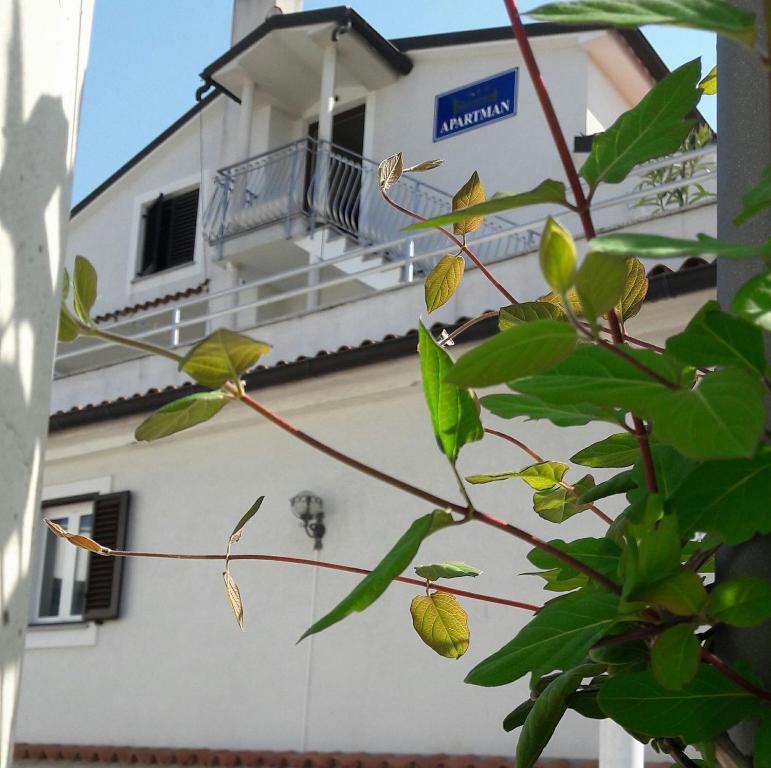a white building with a balcony and a tree at M&R apartmani Rovinj in Rovinj