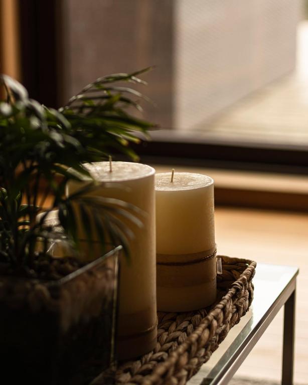 two candles sitting on a table with a potted plant at Cabañas Arrayanes de Huillinco en Chiloé in Chonchi