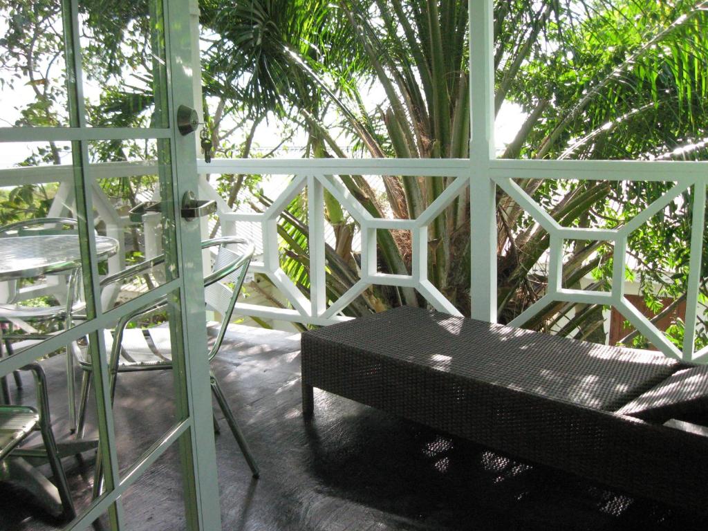 Zahrada ubytování Palm Cottage