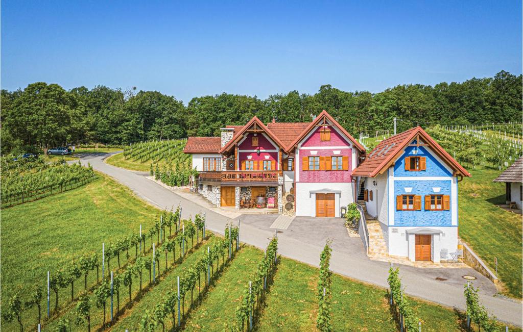 an aerial view of a house in a vineyard at Haus In Gaas Mit Panoramablick in Gaas