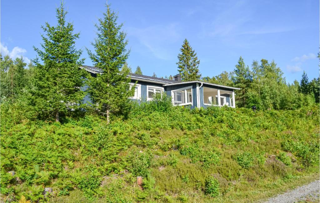 a house on top of a hill with trees at Nice Home In Tidaholm With 4 Bedrooms in Gälleberg