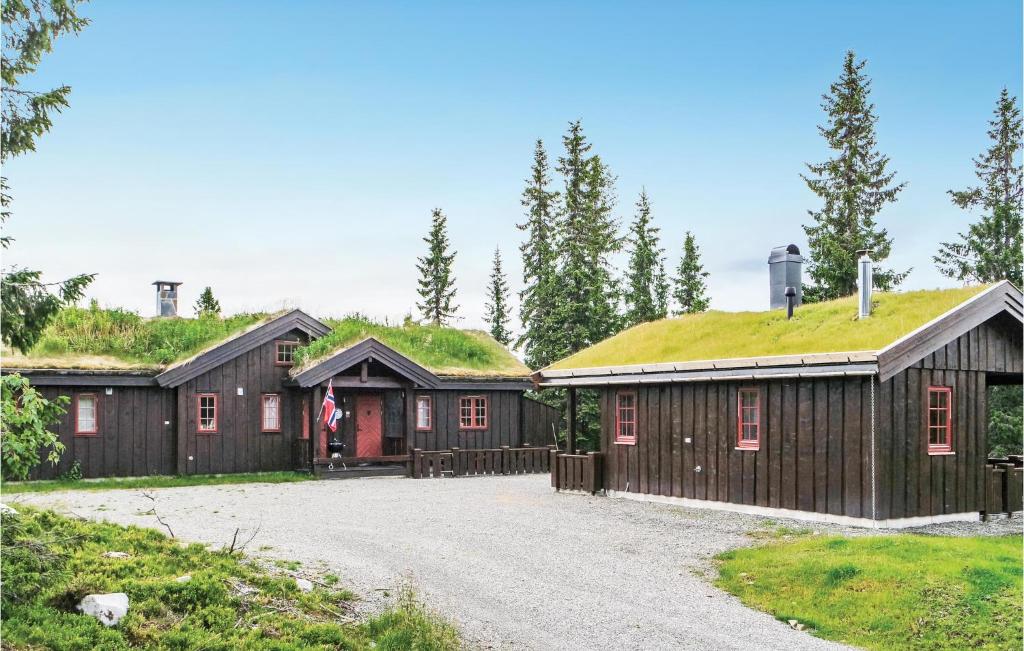 - deux bâtiments avec un toit en gazon dans l'établissement Cozy Home In Lillehammer With Sauna, à Nordseter