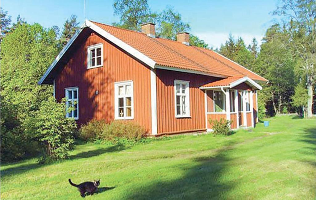 a cat is walking in front of a house at Nice Home In Grimss With 3 Bedrooms, Sauna And Wifi in Hestra