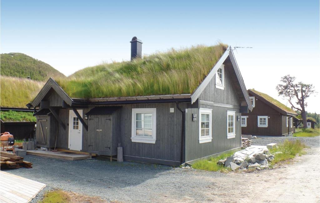 a house with a grass roof on top of it at Amazing Home In Rauland With Wifi in Rauland