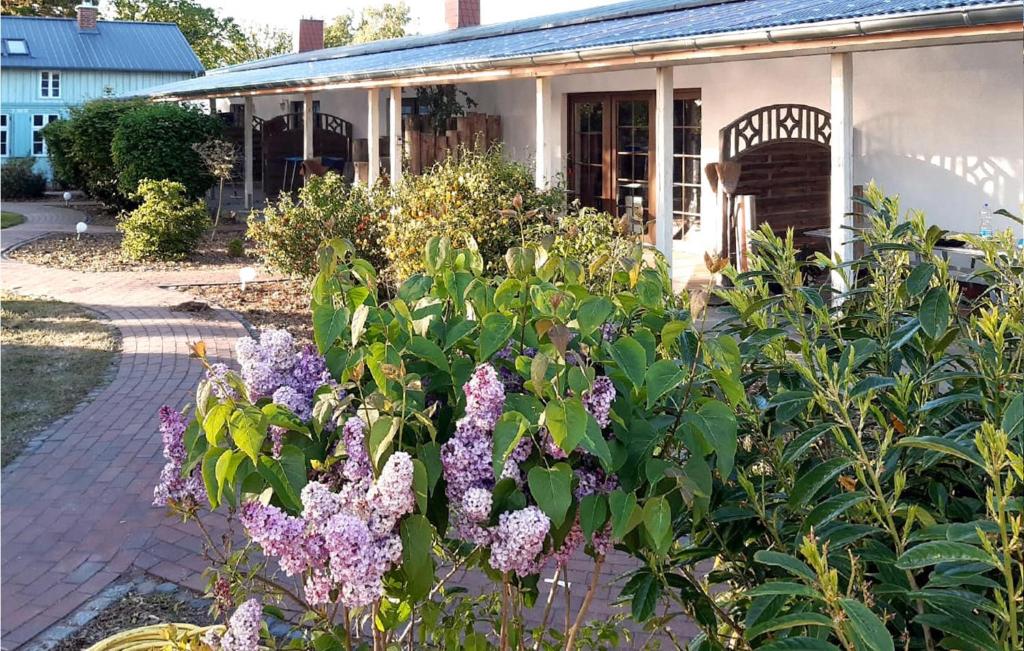a garden with purple flowers in front of a house at 1 Bedroom Gorgeous Home In Fuhlendorf in Fuhlendorf