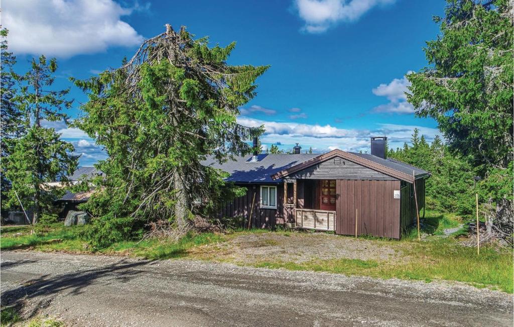 a house on the side of a road with a tree at Gorgeous Home In Sjusjøen With Sauna in Sjusjøen
