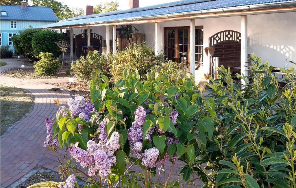 a garden with purple flowers in front of a building at 1 Bedroom Nice Home In Fuhlendorf in Fuhlendorf
