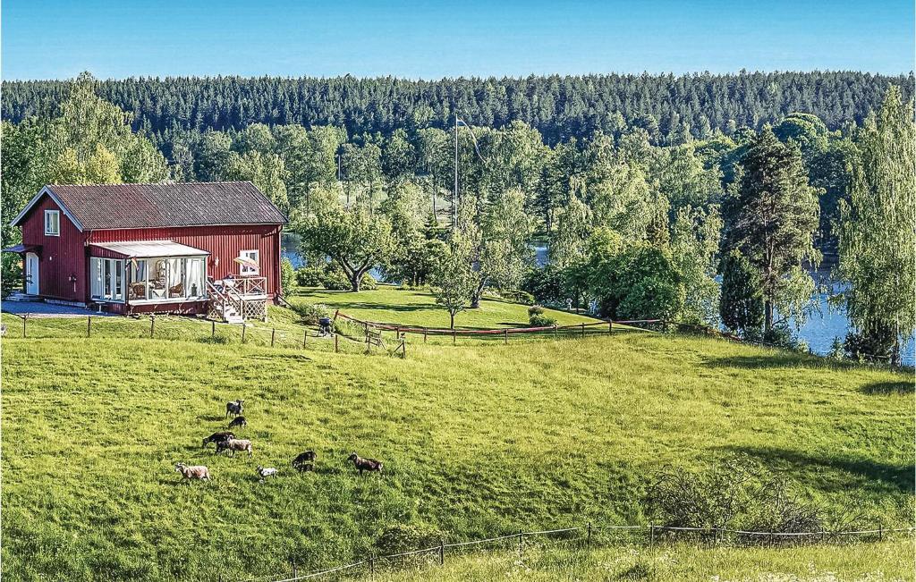 une grange rouge sur une colline avec des animaux dans un champ dans l'établissement Amazing Home In Stjnrhov With House Sea View, à Gryt