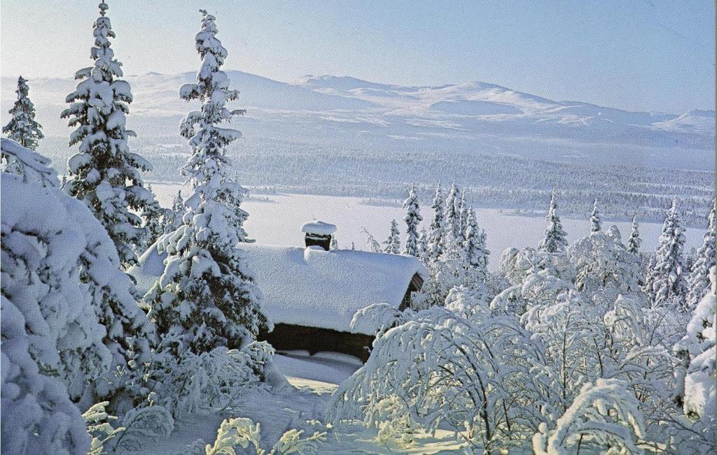 Trollbu Gransen-fefor om vinteren