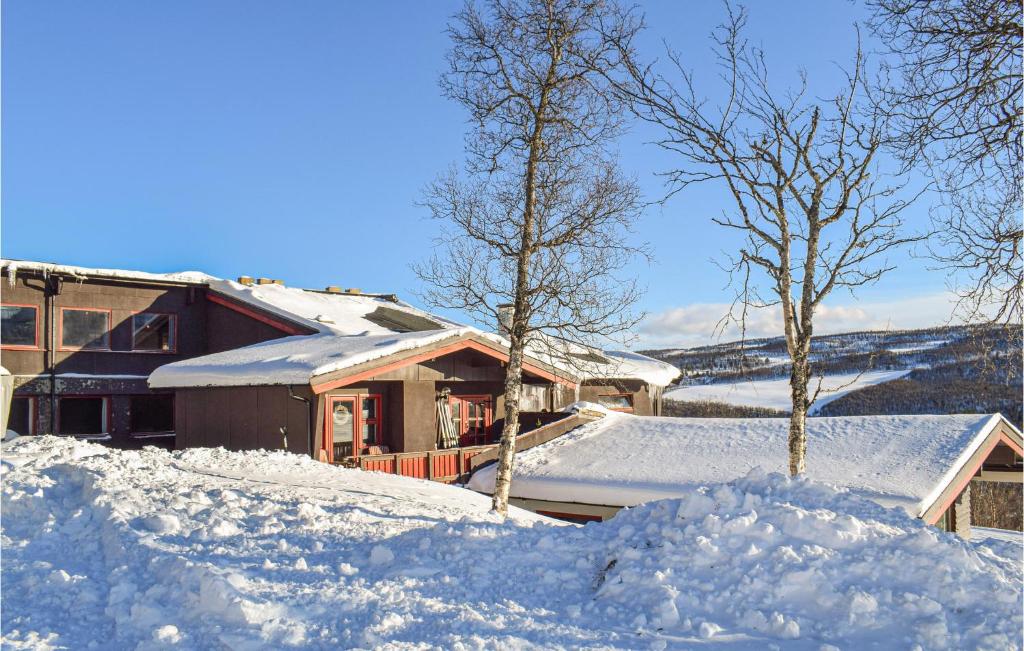 a house covered in snow next to two trees at Awesome Apartment In l With 3 Bedrooms in Skarsgård