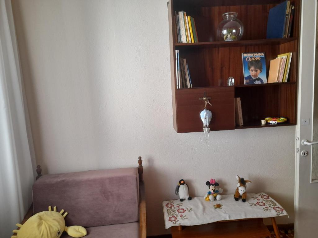 Knihovna v apartmánu