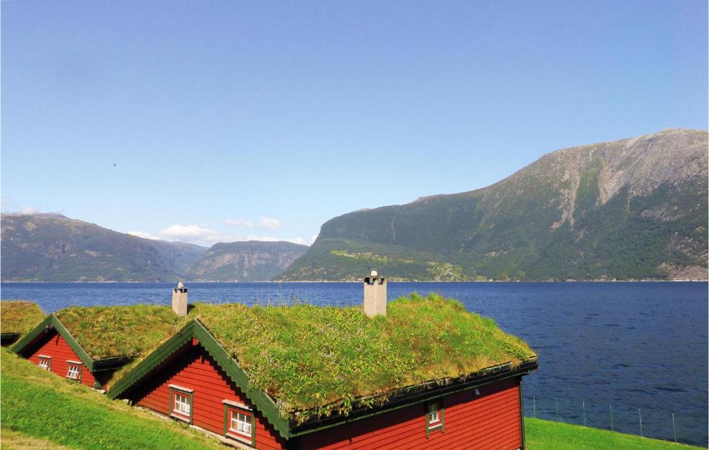 a red house with grass on the roof next to the water at Raaen Hytteutleige 1 in Utne