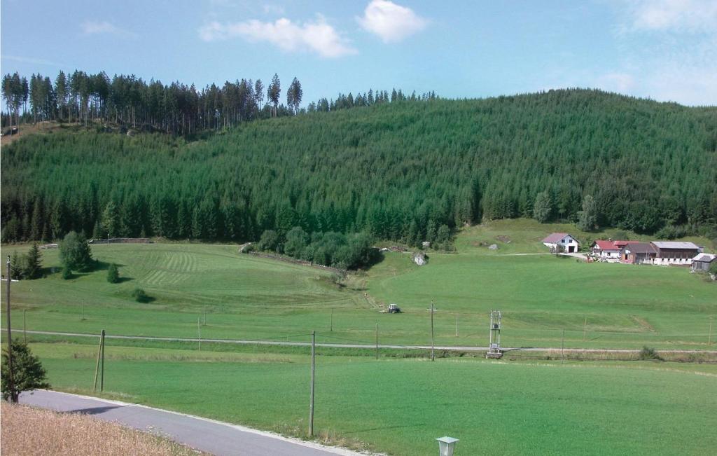 Fotografia z galérie ubytovania Ferienwohnung - Waldviertel v destinácii Bärnkopf