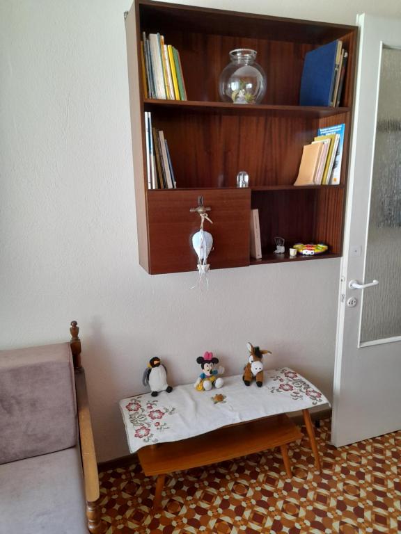 Knihovna v apartmánu