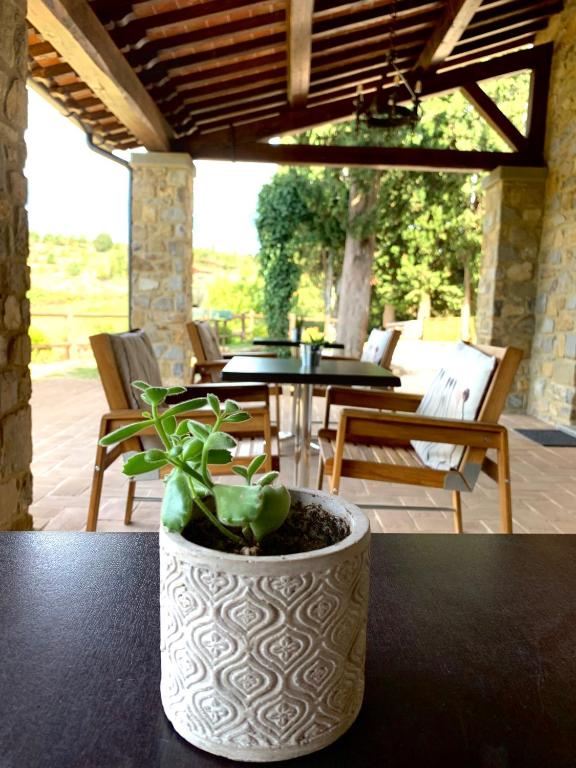 Fotografie z fotogalerie ubytování B&B Lavanda e Rosmarino v destinaci Capolona