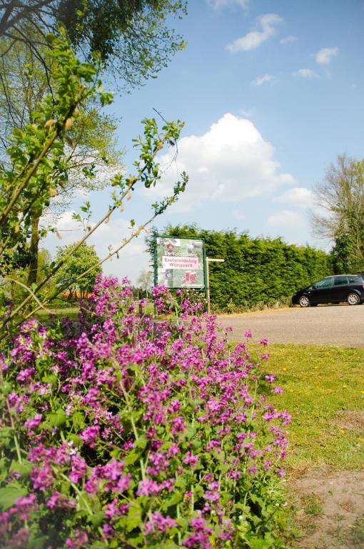 a bunch of pink flowers in front of a sign at Bed & Breakfast de Kreitsberg in Duifhuis