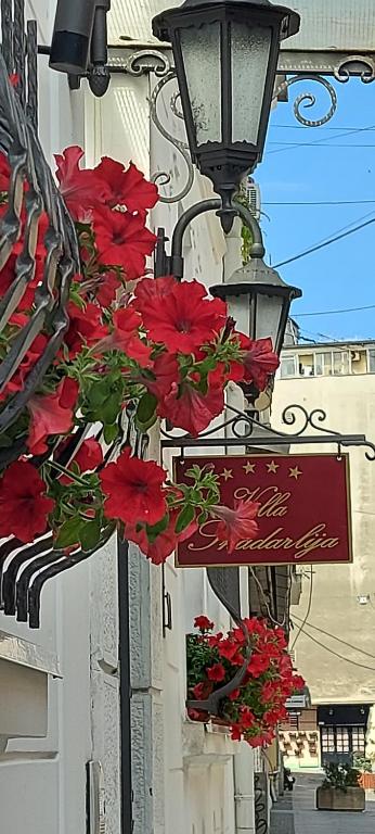 a bunch of red flowers hanging from a building at Villa Skadarlija in Belgrade