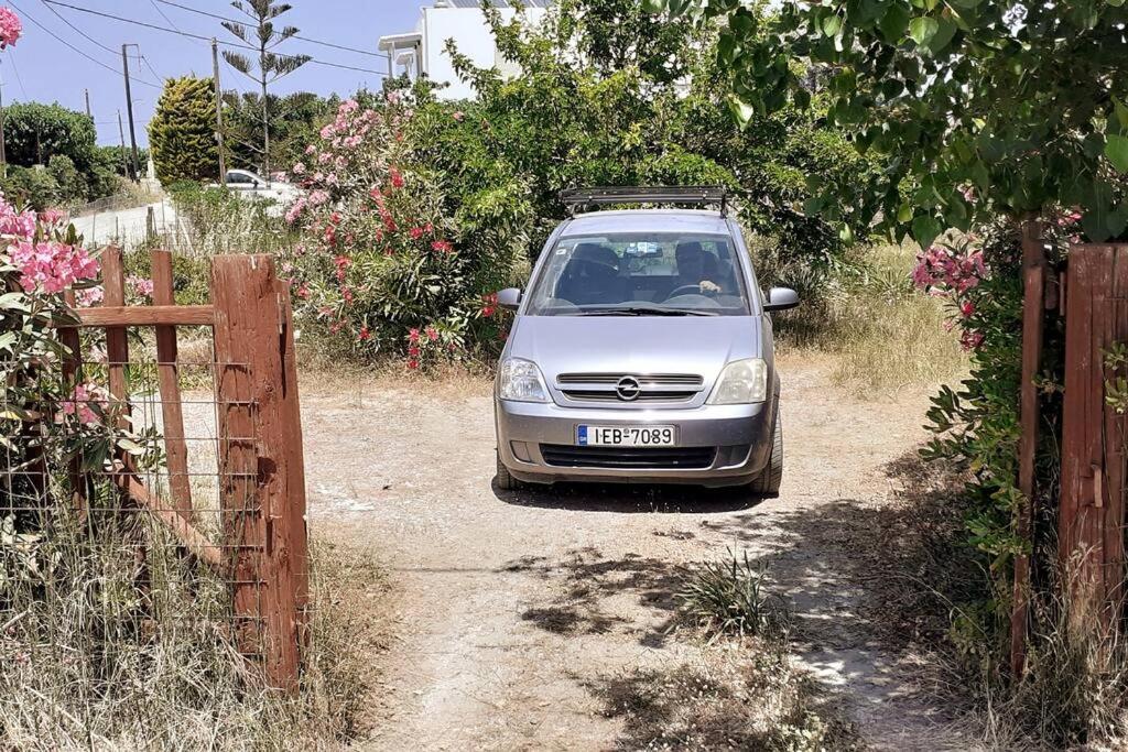 Zdjęcie z galerii obiektu Skyros Euphoria House w mieście Skiros