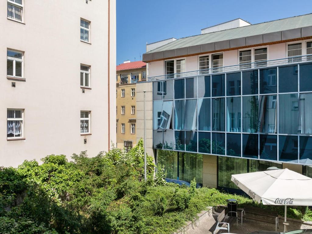 Numa Prague Root - 11