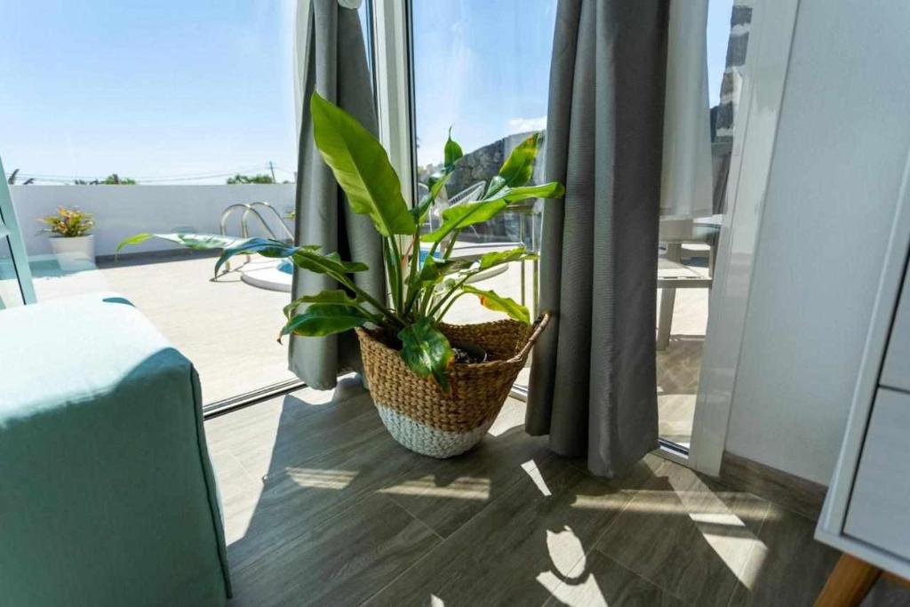 Balkón nebo terasa v ubytování Suites Bene LANZAROTE