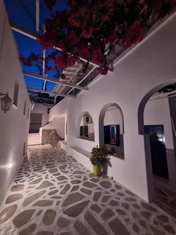 a hallway with a potted plant in a building at Elpis Rooms in Mylopotas