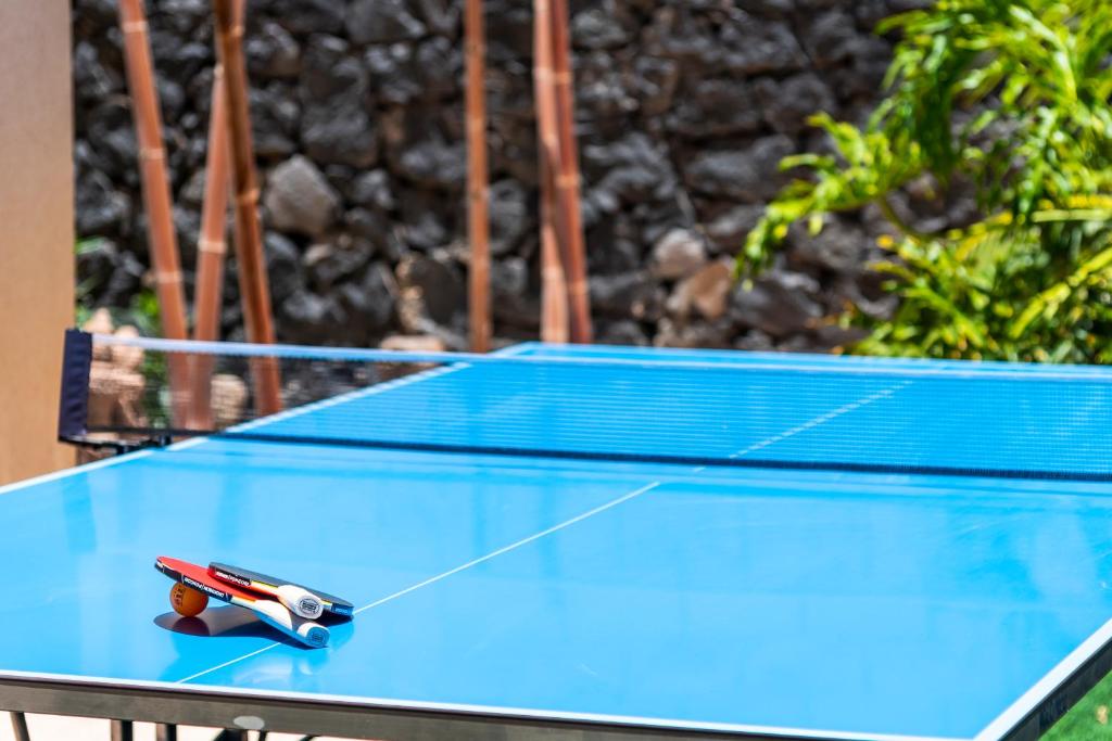 Stolní tenis v ubytování TORVISCAS SUNSET VILLA 4 rooms & private Jacuzzi nebo okolí
