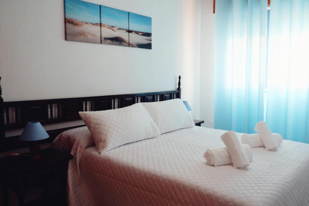 Casa Iqui, San José – Precios actualizados 2023